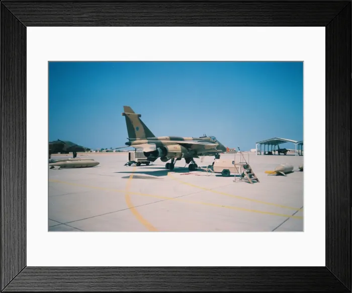 Framed Print : Jaguar at Seeb North - Oman Framed Print : Jaguar at Seeb North - Oman
