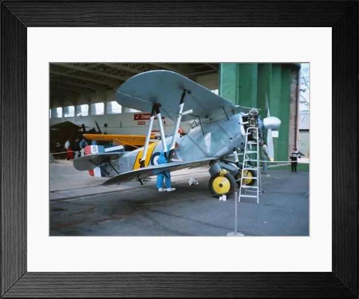 Framed Print : Flycatcher at Duxford Framed Print : Flycatcher at Duxford