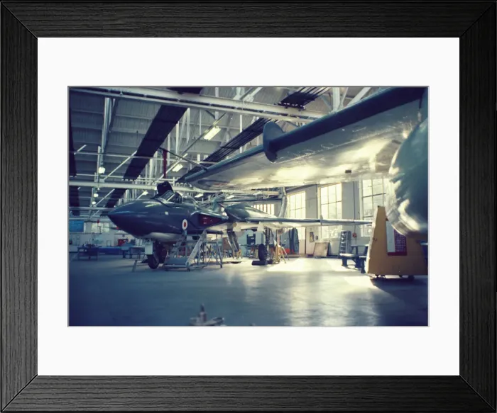 Framed Print : Sea Vixens at Halton Framed Print : Sea Vixens at Halton