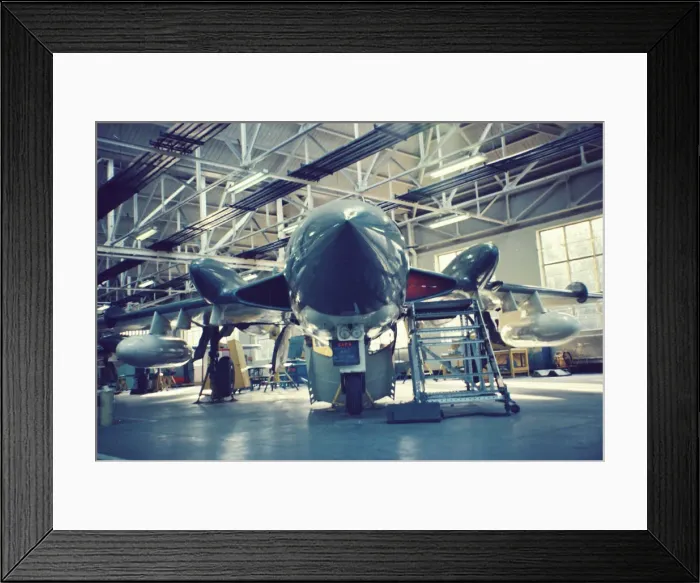 Framed Print : Sea Vixens at Halton Framed Print : Sea Vixens at Halton