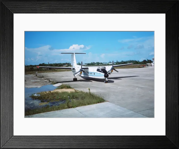 Framed Print : Buffalo at Belize Framed Print : Buffalo at Belize