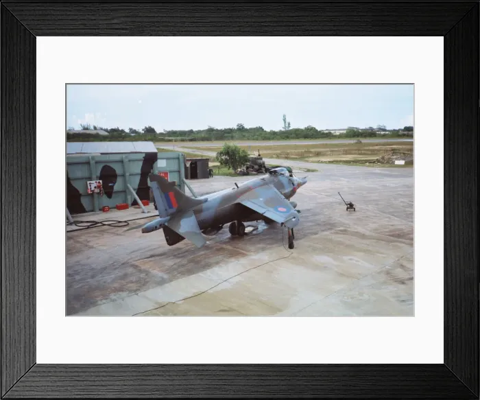 Framed Print : Harrier at Belize Framed Print : Harrier at Belize