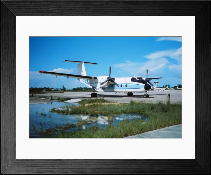 Framed Print : Buffalo at Belize Framed Print : Buffalo at Belize