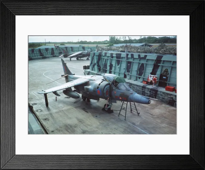Framed Print : Harrier at Belize Framed Print : Harrier at Belize