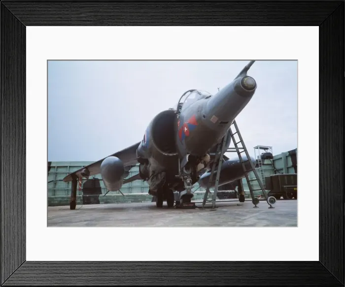 Framed Print : Harrier at Belize Framed Print : Harrier at Belize