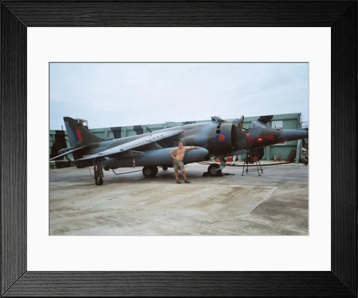 Framed Print : Harrier at Belize Framed Print : Harrier at Belize