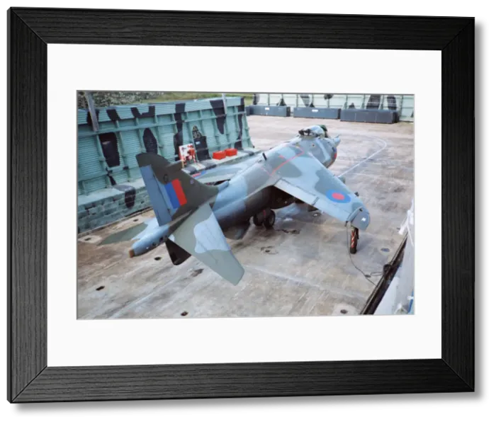 Framed Print : Harrier at Belize Framed Print : Harrier at Belize