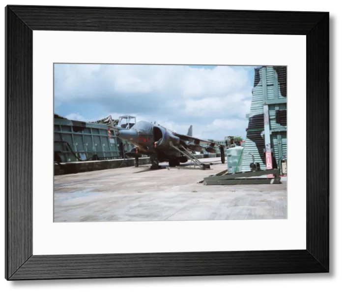 Framed Print : Harrier at Belize Framed Print : Harrier at Belize