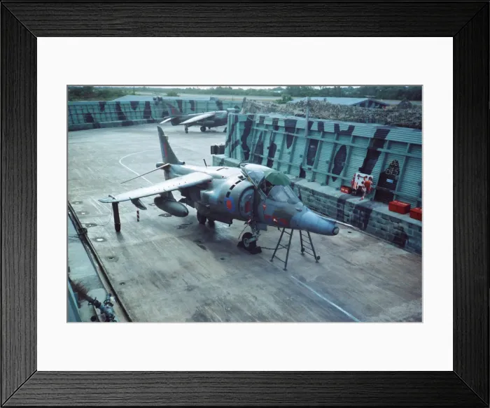 Framed Print : Harrier at Belize Framed Print : Harrier at Belize