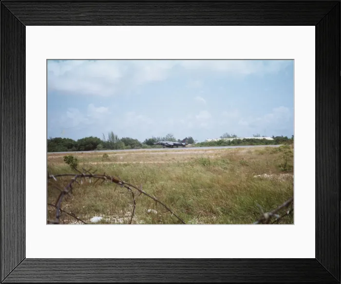 Framed Print : Harrier at Belize Framed Print : Harrier at Belize