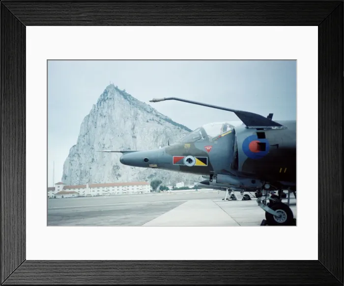 Framed Print : Harrier at Gibraltar Framed Print : Harrier at Gibraltar