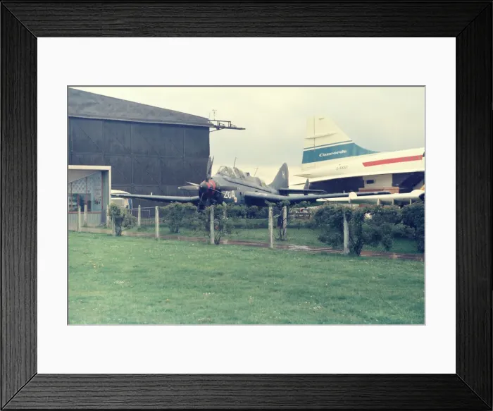 Framed Print : Gannet at Yeovilton