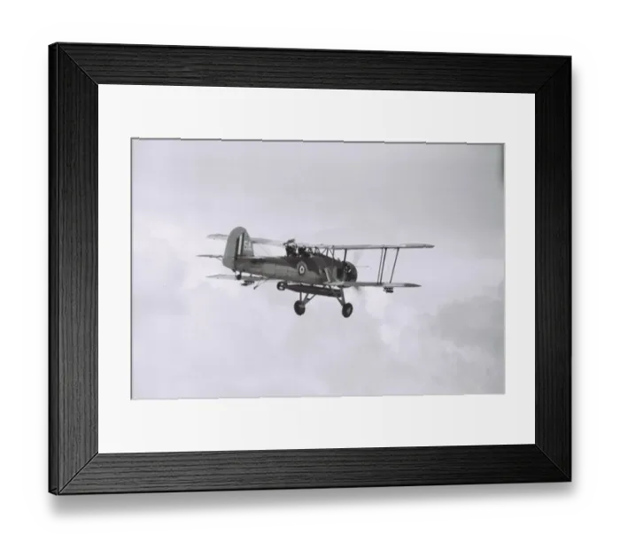 Framed Print : Swordfish at Greenham Common Framed Print : Swordfish at Greenham Common