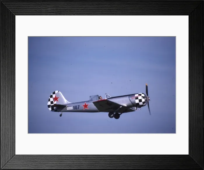 Framed Print : Yak-50 - RA44459 Framed Print : Yak-50 - RA44459