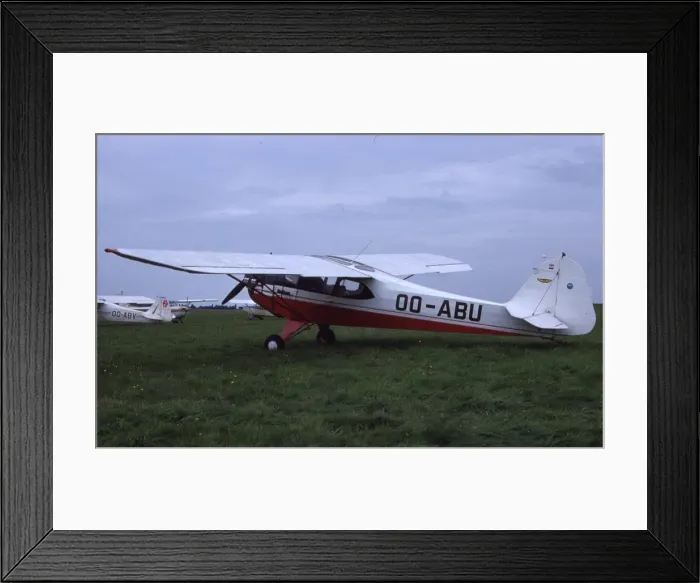 Framed Print : Auster J / 2 Arrow - OO-ABU Framed Print : Auster J / 2 Arrow - OO-ABU