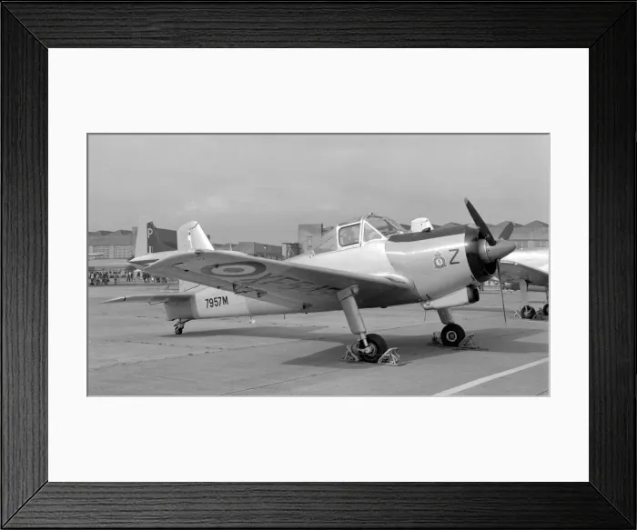 Framed Print : RAF Provost T Mk. 1 - RAF Finningley Framed Print : RAF Provost T Mk. 1 - RAF Finningley