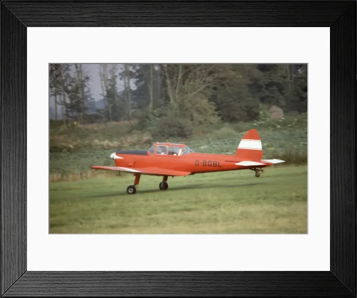 Framed Print : Chipmunk - G-BDBL Framed Print : Chipmunk - G-BDBL