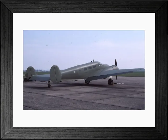 Framed Print : Electra Junior Framed Print : Electra Junior