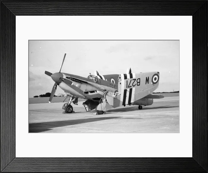 Framed Print : RNHF Firefly AS Mk. 5 WB271 - Culdrose Framed Print : RNHF Firefly AS Mk. 5 WB271 - Culdrose