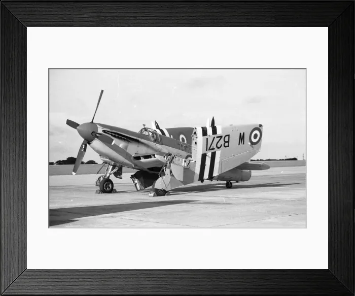 Framed Print : RNHF Firefly AS Mk. 5 WB271 - Culdrose Framed Print : RNHF Firefly AS Mk. 5 WB271 - Culdrose
