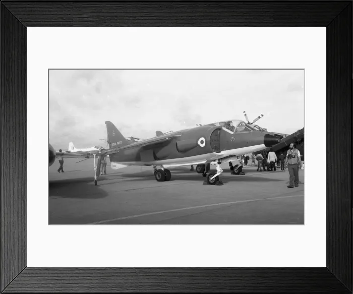 Framed Print : SAH Kestrel FGA. 1 XS695 - Culdrose Framed Print : SAH Kestrel FGA. 1 XS695 - Culdrose