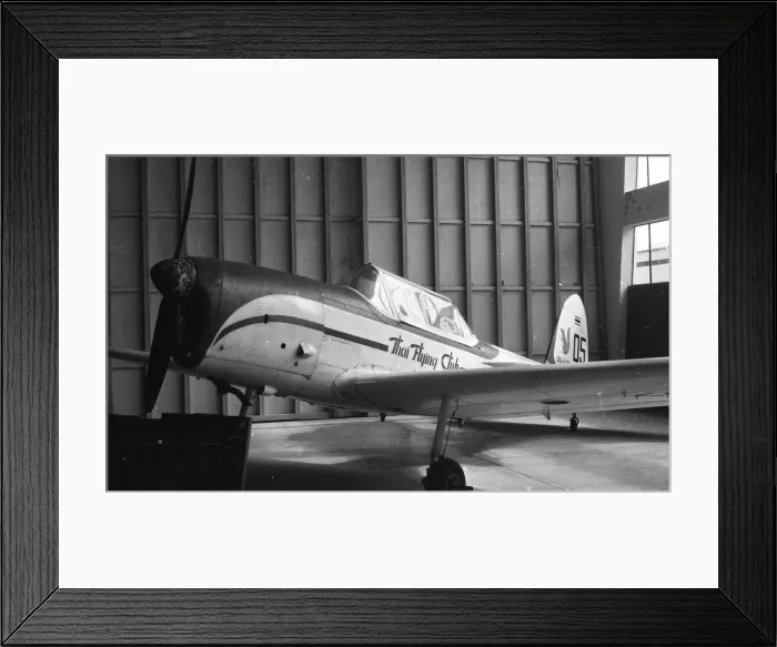 Framed Print : RTAF Museum - Chipmunk Framed Print : RTAF Museum - Chipmunk