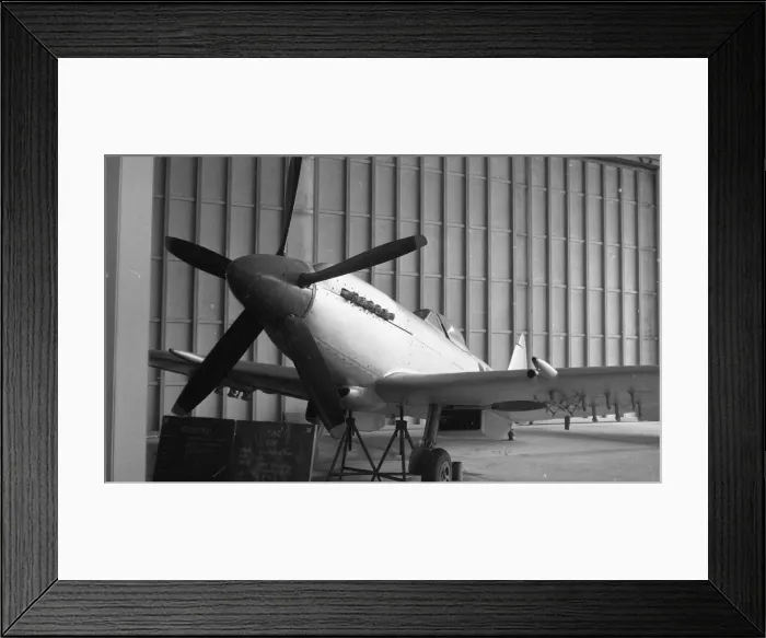 Framed Print : RTAF Museum - Spitfire FR Mk. XIV Framed Print : RTAF Museum - Spitfire FR Mk. XIV