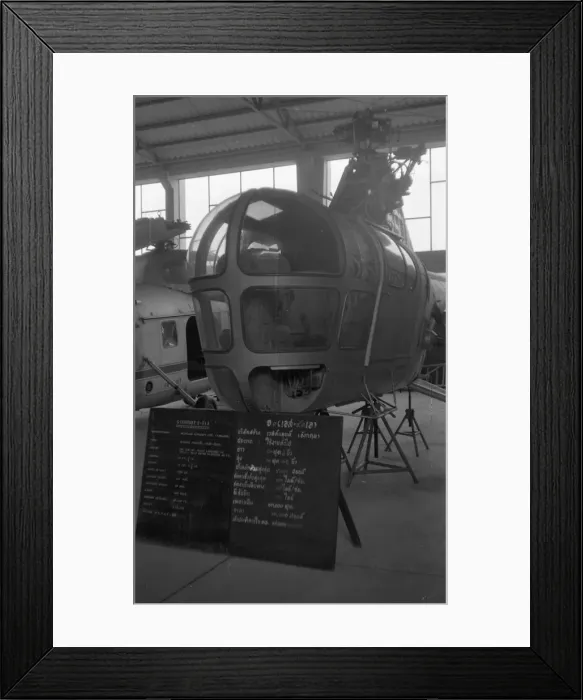 Framed Print : RTAF Museum - Dragonfly Framed Print : RTAF Museum - Dragonfly