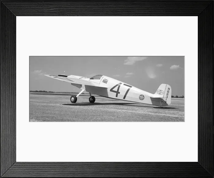 Framed Print : Pack Model C N66317 Li l Rebel Framed Print : Pack Model C N66317 Li l Rebel