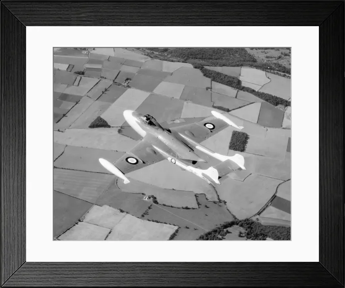 Framed Print : de Havilland Sea Venom NF. 20 WK379 Framed Print : de Havilland Sea Venom NF. 20 WK379
