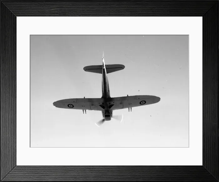 Framed Print : Fairey Firefly F Mk. 1 prototype Z1826 Framed Print : Fairey Firefly F Mk. 1 prototype Z1826