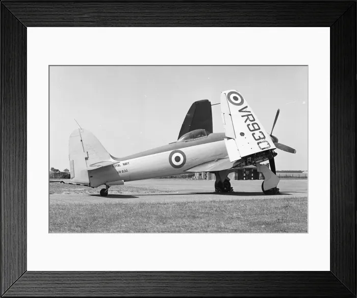 Framed Print : Hawker Sea Fury VR930 Framed Print : Hawker Sea Fury VR930