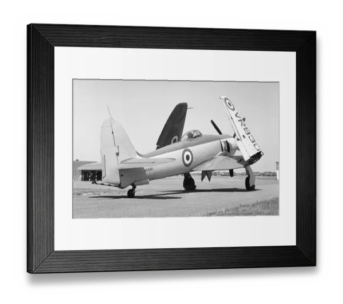 Framed Print : Hawker Sea Fury VR930 Framed Print : Hawker Sea Fury VR930