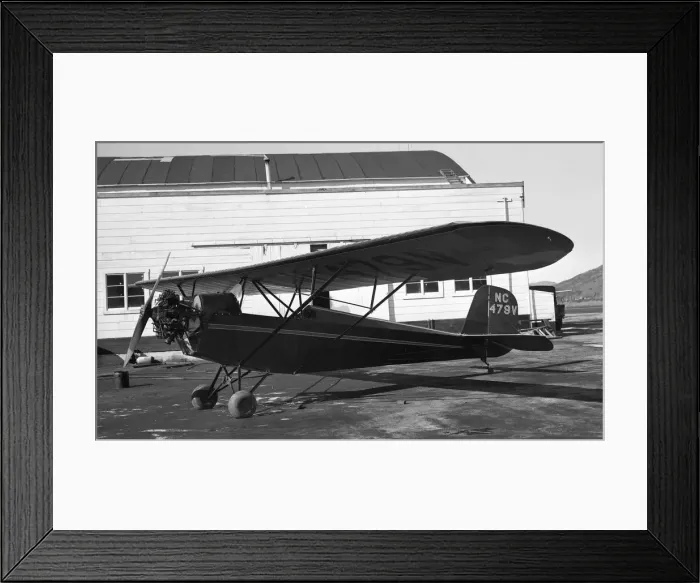 Framed Print : American Eagle Eaglet 231 NC479V Framed Print : American Eagle Eaglet 231 NC479V