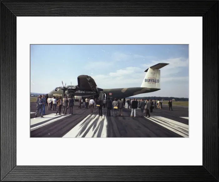 Framed Print : de Havilland Canada DHC-5D Buffalo C-GBUF Framed Print : de Havilland Canada DHC-5D Buffalo C-GBUF