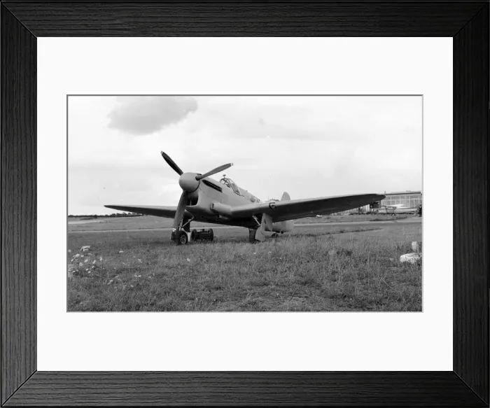 Framed Print : Fairey Firefly F Mk. I - G-ASTL Framed Print : Fairey Firefly F Mk. I - G-ASTL