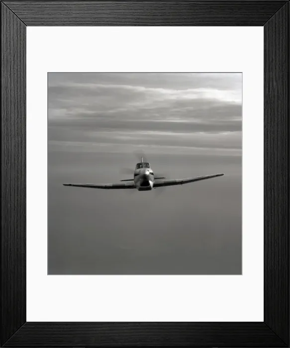 Framed Print : Royal Air Force Boulton-Paul Balliol T. 2 Framed Print : Royal Air Force Boulton-Paul Balliol T. 2