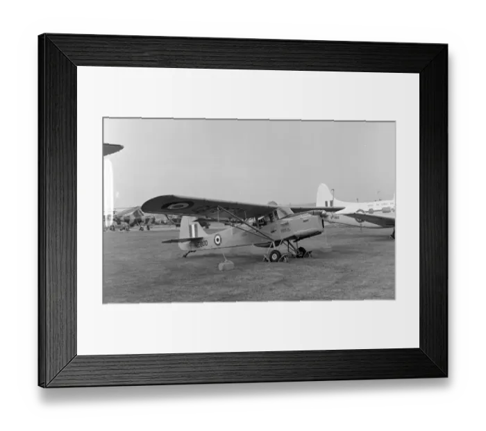 Framed Print : Royal Air Force Auster T. 7 WE600 Framed Print : Royal Air Force Auster T. 7 WE600