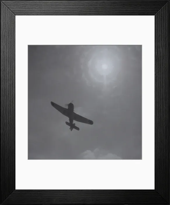Framed Print : Royal Air Force Miles M. 25 Martinet I Framed Print : Royal Air Force Miles M. 25 Martinet I