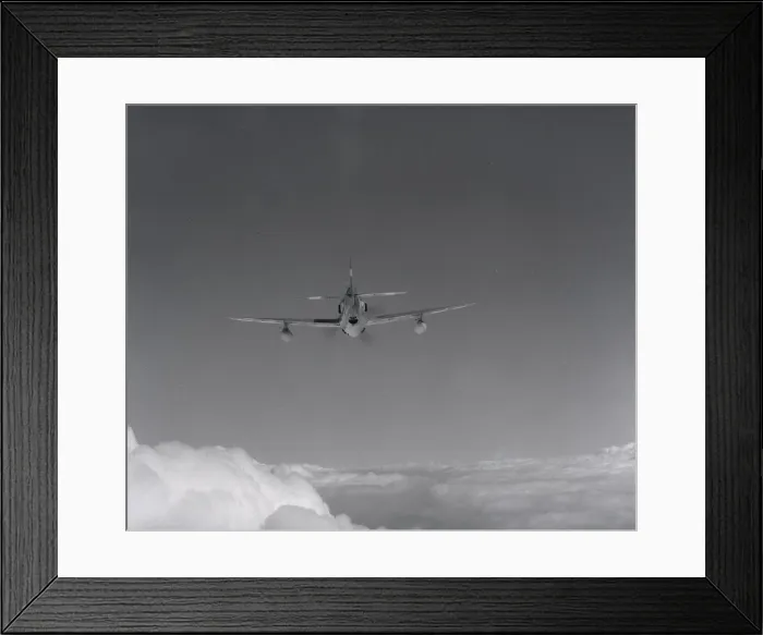 Framed Print : United States Army Air Force Republic P-47D Thunderbolt Framed Print : United States Army Air Force Republic P-47D Thunderbolt