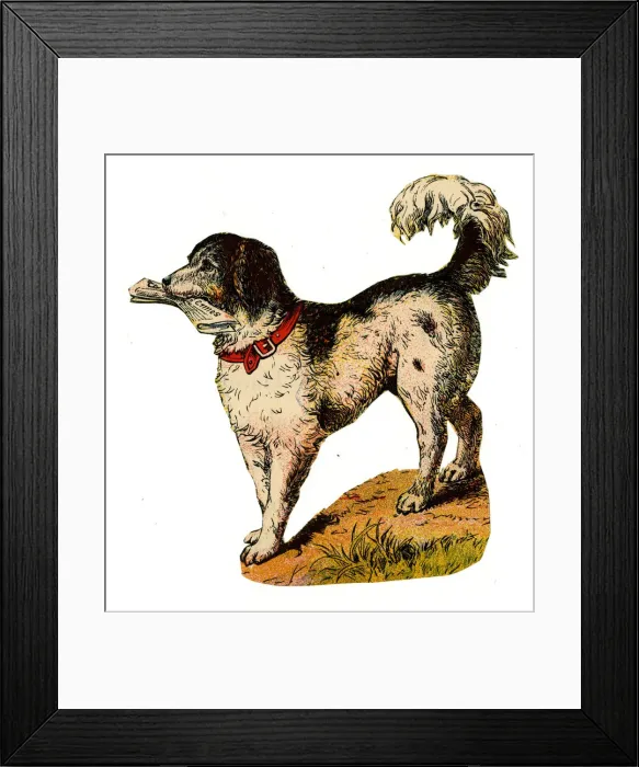 Framed Print : Dog delivering the Times Newspaper -19th century scrap Framed Print : Dog delivering the Times Newspaper -19th century scrap