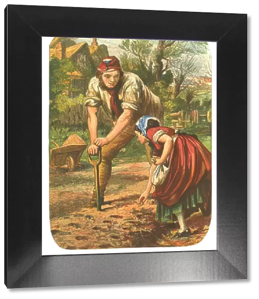 Woman planting Seeds, Man dibbling the holes