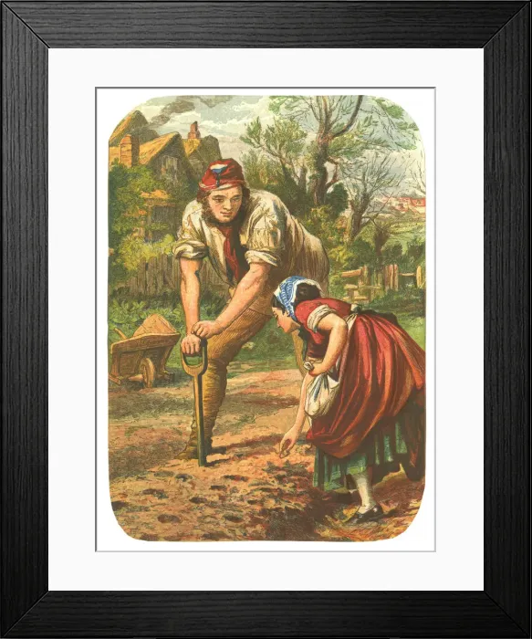 Framed Print : Woman planting Seeds, Man dibbling the holes Framed Print : Woman planting Seeds, Man dibbling the holes