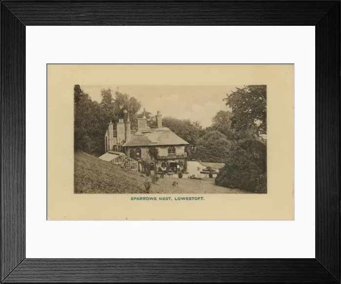Framed Print : Sparrows Nest Framed Print : Sparrows Nest