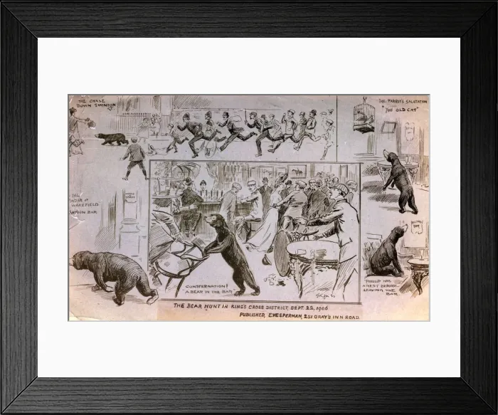 Framed Print : Caricature of the 1906 Bear Hunt Framed Print : Caricature of the 1906 Bear Hunt