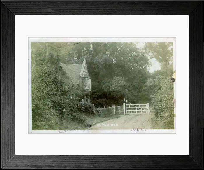 Framed Print : The Warren Framed Print : The Warren