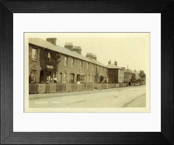 Framed Print : High Road, Thornwood Common, Epping, Epping Forest, Essex, England Framed Print : High Road, Thornwood Common, Epping, Epping Forest, Essex, England