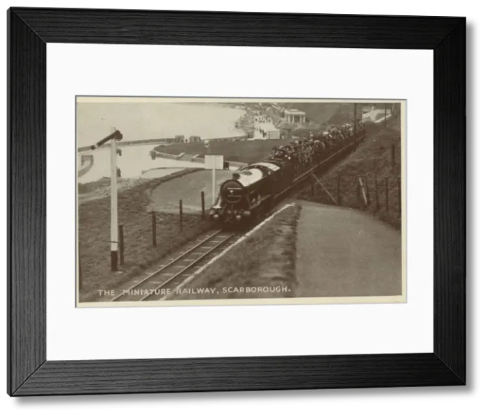 Framed Print : Miniature Railway Framed Print : Miniature Railway