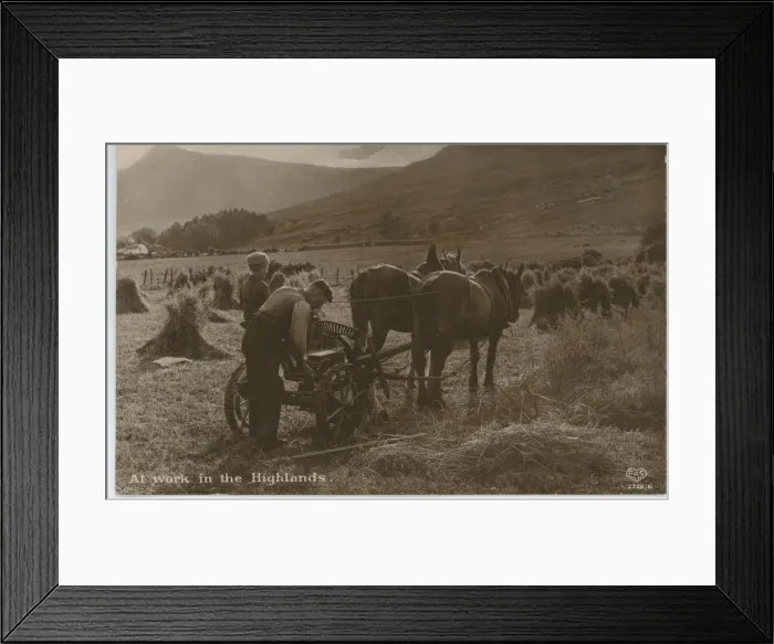 Framed Print : Horse Drawn Plough Framed Print : Horse Drawn Plough