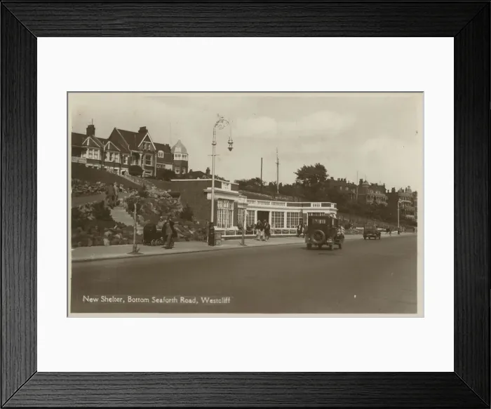 Framed Print : New Shelter Framed Print : New Shelter